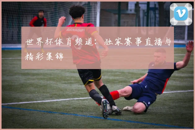 世界杯体育频道:独家赛事直播与精彩集锦