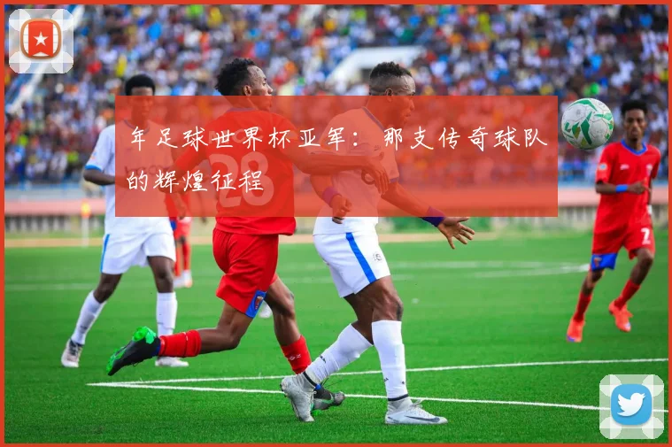 年足球世界杯亚军：那支传奇球队的辉煌征程