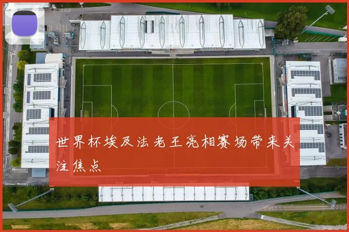 世界杯埃及法老王亮相赛场带来关注焦点