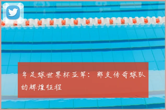 年足球世界杯亚军：那支传奇球队的辉煌征程