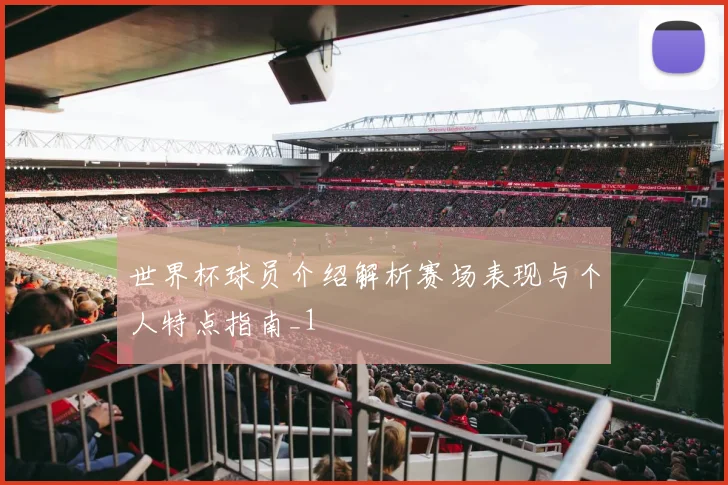 世界杯球员介绍解析赛场表现与个人特点指南_1
