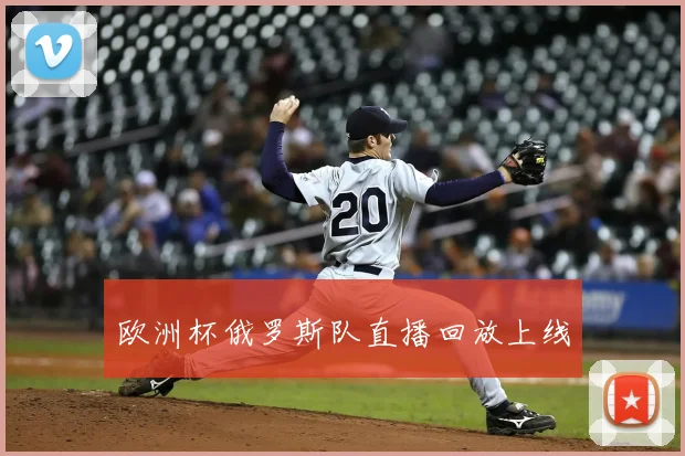 欧洲杯俄罗斯队直播回放上线