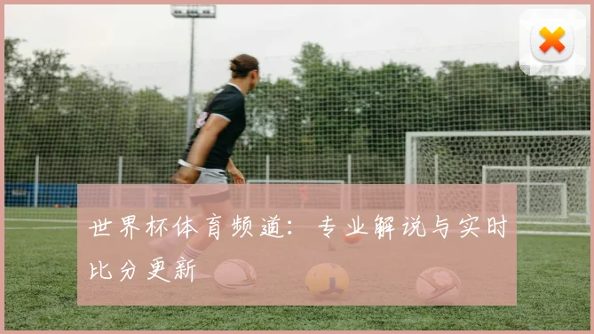 世界杯体育频道:专业解说与实时比分更新