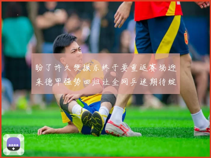 盼了许久樊振东终于要重返赛场迎来德甲强势回归让全网乒迷期待绽放_调整_比赛_新人