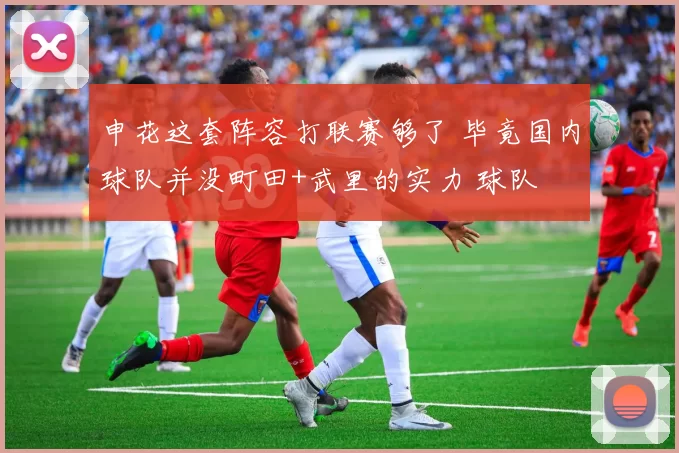 申花这套阵容打联赛够了 毕竟国内球队并没町田+武里的实力 球队